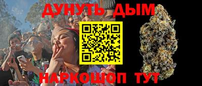 стафф Кандалакша