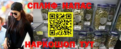 стафф Кандалакша