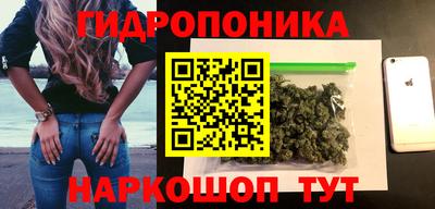 стафф Кандалакша