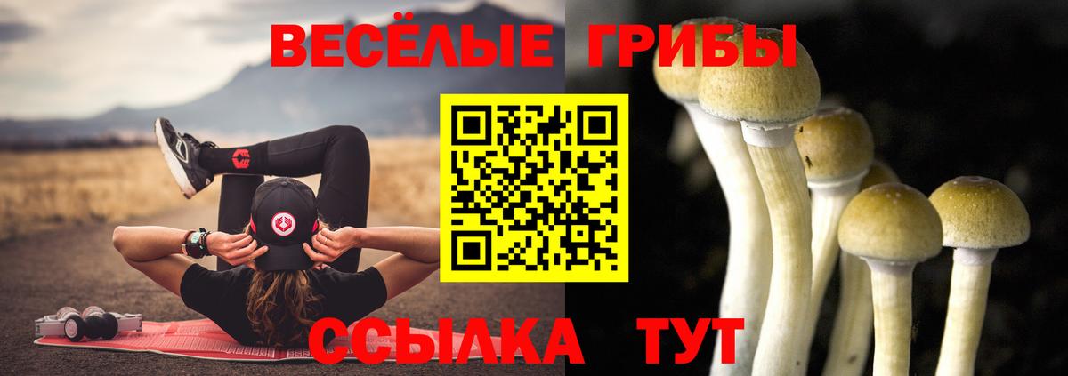 Псилоцибиновые грибы прущие грибы  Вход с VPN  Кушва 